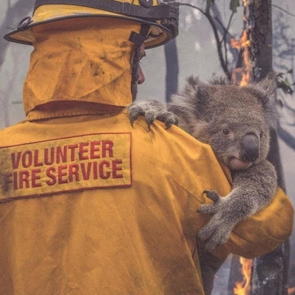 AUSTRALIAN BUSHFIRE FUND RAISE CHALLENGE